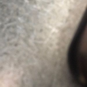 Meet your Posher, Ty